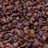 Cacao en Grano Sin Tostar Orgánico - Finca Pacífico Sur Costa Rica (1 Kg)