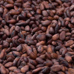 Cacao en Grano Sin Tostar Orgánico - Finca Pacífico Sur Costa Rica (1 Kg)