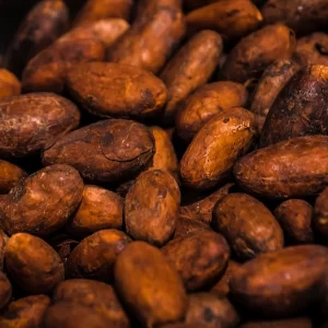 Cacao en Grano Tostado Orgánico - Finca Pacífico Sur Costa Rica (1 Kg)