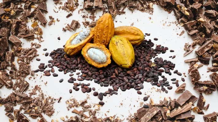 Cacao de Origen Único - Por Qué el Terroir Importa en el Chocolate