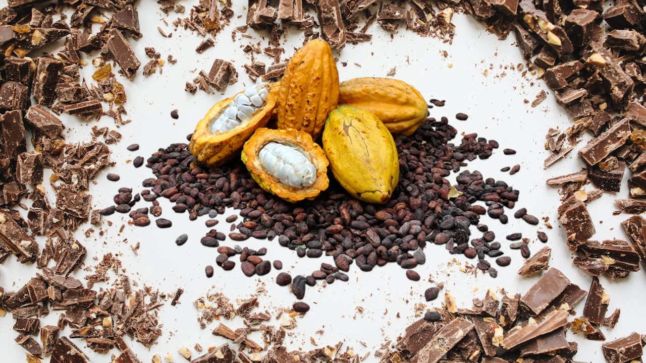 Cacao de Origen Único - Por Qué el Terroir Importa en el Chocolate