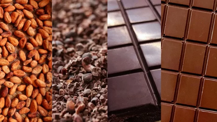 Usos del cacao Granos, Nibs, Chocolate - Guía Completa para Aprovechar Cada Forma
